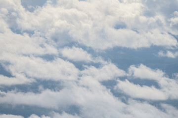 Canvas Print - beautiful white clouds with forest background