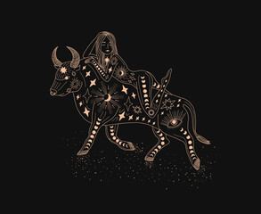Wall Mural - Zodiac sign Taurus. Silhouette of a golden astrological sign; on a dark background. Magic illustration. A woman rides a bull. Logo in modern style. Boho design templates. magical drawings.