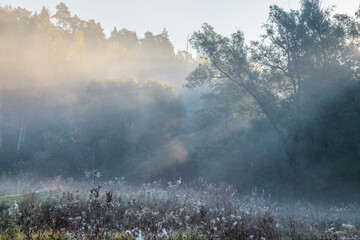 Wall Mural - Autumn foggy landscape