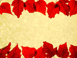 Border composition of red colored autumn maple leaves falling on yellow bokeh background with copy space, top view flat lay. Close up