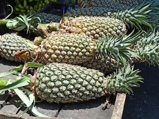 Wall Mural - piles of pineapples peddled in the market