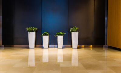 Wall Mural - Plants flowerpots in modern business office