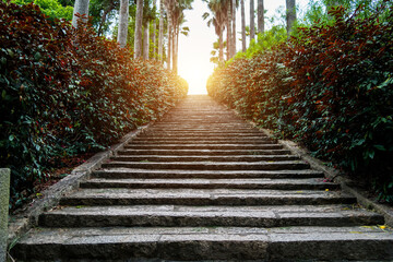 Staircase going up in the park