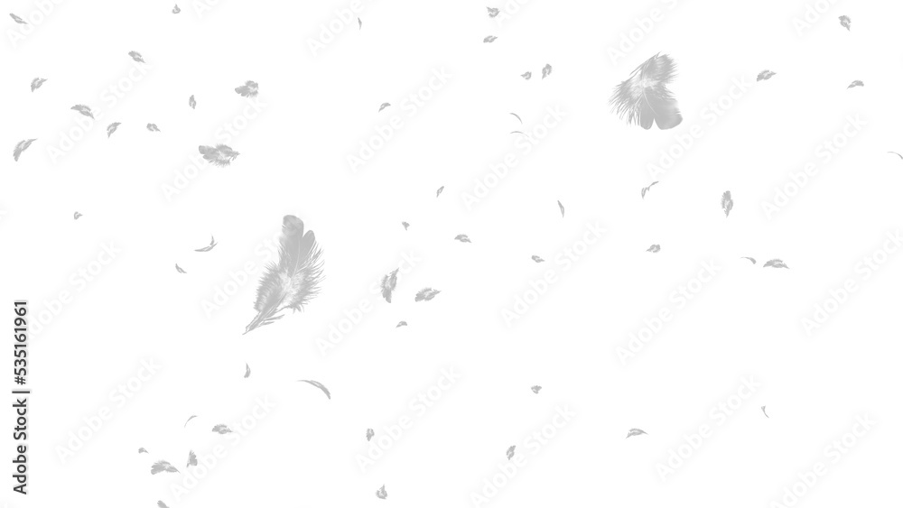 舞い散る羽の素材 の Stock イラスト | Adobe Stock