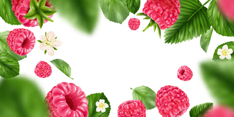 Wall Mural - Raspberry Realistic Background