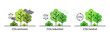 CO2 emission reduction neutral concept art vector illustration. Trees linear style icons isolated on white. Stop global warming, greenhouse effect, carbon gas reduction. Zero carbon footprint concept.