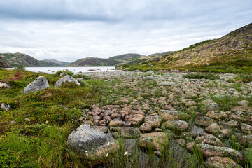 summer landscape of green polar tundra with boulders in the foreground. northern nature in the vicin