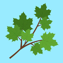 Sticker - maple branch on blue background