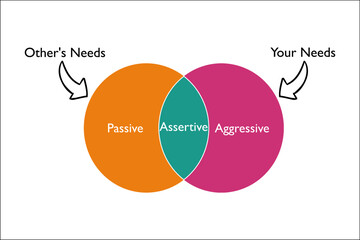 the assertiveness which is combination of aggressive and passive