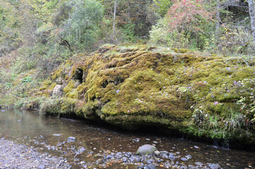 moss covered rocks