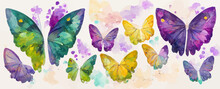 Colorful Butterflies Watercolor Isolated On White Background, Banner