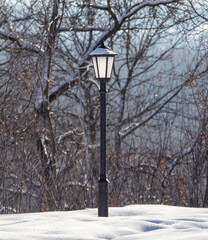 Wall Mural - Lantern in the snow in the park