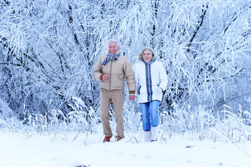 Wall Mural - Nicel elderly couple rejoice together in winter