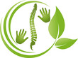 Zwei Hände und Wirbelsäule, Orthopädie, Chiropraktiker, Logo