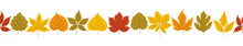 Autumn Leaves Background, Banner Template. Fall Foliage Of Maple, Linden, Poplar, Horse Chestnut, Virginia Creeper, Hawthorn In Red, Orange, Yellow, Green Colors. Seamless Ornament Vector Illustration