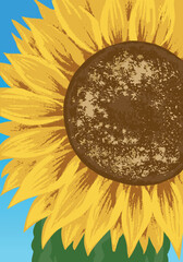 Poster - Beautiful sunflower against blue sky