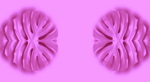 Two Pink Flower Abstract Background