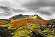Grábrók Crater Landscape in Autumn/Fall with Lava Field and Autumnal Colored Trees in West Iceland