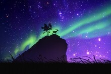 Deer At Cliff Top. Animal Silhouette On Rock. Green Aurora Borealis
