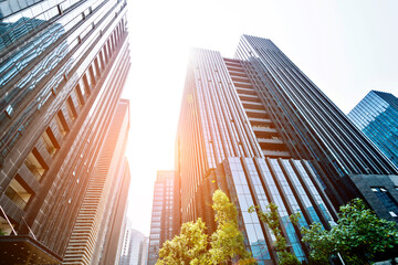 Canvas Print - Modern glass buildings and green tree branches