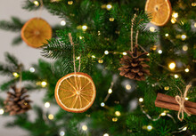Decorated Christmas Tree Closeup. DIY Dried Oranges, Cones And Cinnamon Sticks. Eco Friendly Christmas Tree Ornaments