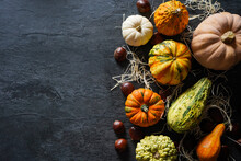 Variety Of Pumpkins And Squashes In A Composition On Dark Background With Empty Space 