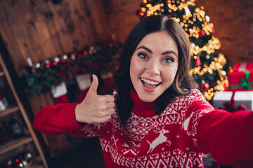 Canvas Print - Portrait of charming positive lady make selfie demonstrate thumb up newyear time x-mas house indoors