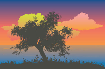 Wall Mural - Tree silhouette at sunset