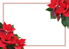 Christmas Poinsettia Red Flowers In Corner Arrangements With A Frame Isolated On White