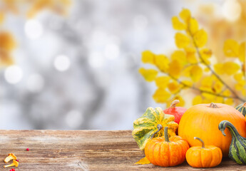 Wall Mural - pumpkin on table