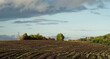 Panorama pól uprawnych na czarnoziemiach, najwyższej klasy gleb uprawnych w Polsce przy granicy z Ukrainą. 
