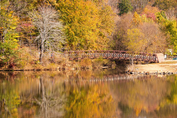 autumn in the park