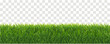 Green Grass Border With Transparent Background