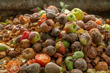 Organic food waste background. Bio waste bin. Kitchen food scraps including fruit and vegetables -tomato pear apple. Separate waste collection. Compost bin with organic waste