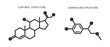 Cortisol and adrenaline icons. Hydrocortisone and epinephrine chemical molecular structure. Stress related hormones produced by adrenal glands. Vector outline illustration
