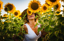 Beautiful Woman Smelling The Scent Of Nature In A Field Of Sunflowers In El Puerto De Santa Maria, Andalusia Spain.