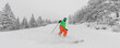 © Maridav - Skiing. People on ski in Alpine ski concept - Skier skiing downhill doing stop at mountain snow covered ski trail slopes in winter on perfect powder snow day in nature. Panoramic banner