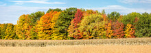 Wisconsin Corn, Soybeans And Colorful Autamn Trees In October