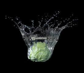 Wall Mural - head of lettuce with water splash isolated on black background,lettuce washing