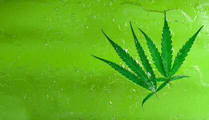 Sticker - Cannabis leaf, marijuana leaf on oil bubbles