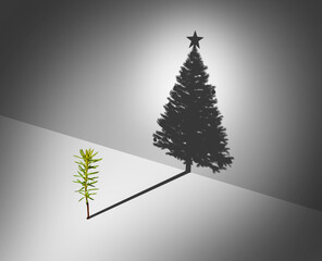 holiday season aspirations concept as a pine tree sapling dreaming of glory casting a shadow shaped 