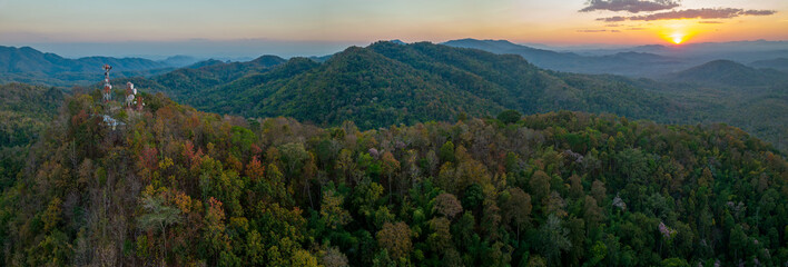 Wall Mural - Aerial view of thick forest in autumn. Colorful forest Autumn Foliage.