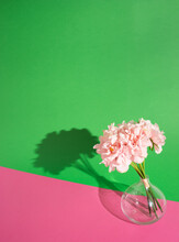 Pink Flower In A Clear Glass Vase On A Pink And Green Background