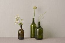 Horizontal Still Life Studio Shot Of Dark Green Bottles Of Different Shapes With Plants In Them, Gray Background