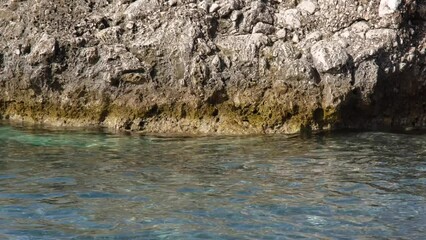 Wall Mural - Rocks on the beach