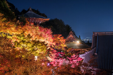 Wall Mural - 広島県・宮島　大聖院の夜景　寺院の屋根と秋の紅葉　Night view of temple roofs and autumn red maple trees at Daisho-in Temple in Miyajima, Hiroshima, Japan
