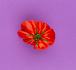 Wall Mural - Tomato on the color background.