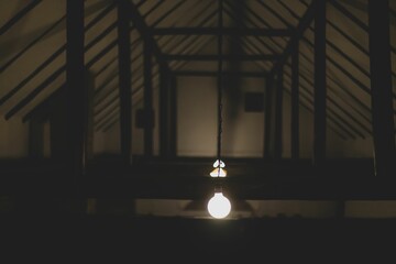 Wall Mural - Minimalistic background of a light bulb hanging from the wooden ceiling