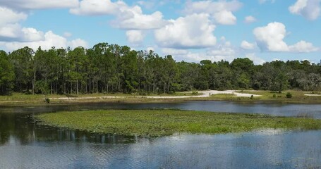 Canvas Print - Aerial view of the Weeki Wachee river and forest landscape in Florida, USA