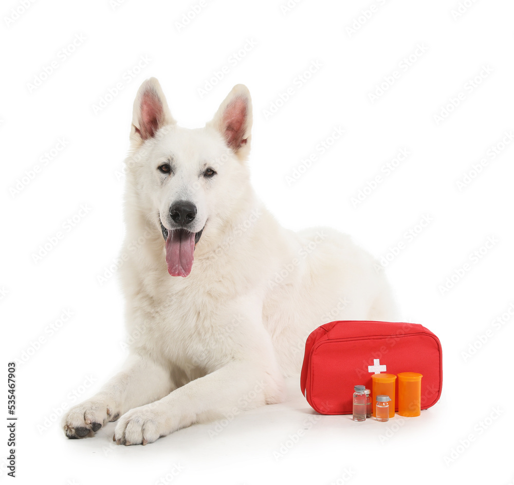 Cute Shepherd dog and first aid kit on white background